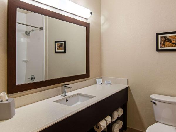 Comfort Suites NW Dallas Near Love Field : photo 4 de la chambre suite lit king-size – non-fumeurs