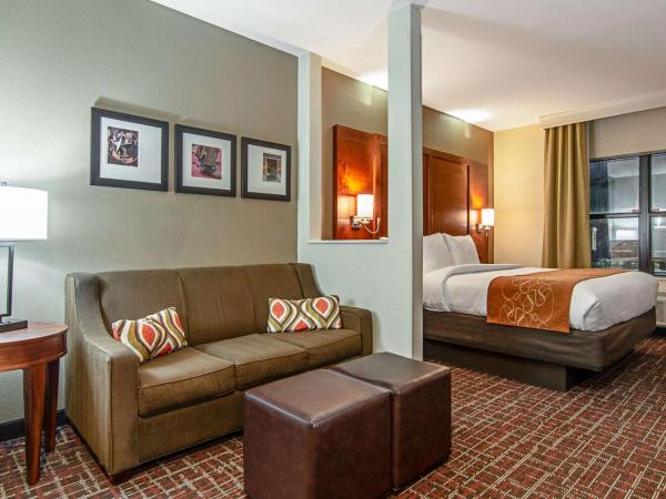 Comfort Suites NW Dallas Near Love Field : photo 1 de la chambre suite lit king-size – non-fumeurs