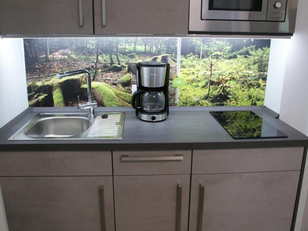 Aparthotel Kottenforst : photo 3 de la chambre studio