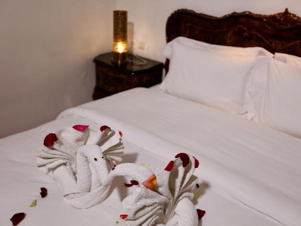 Riad Toyour- Riad of birds : photo 3 de la chambre suite le pélican