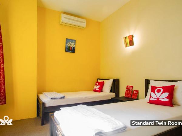 The Explorers Guesthouse and Hostel : photo 4 de la chambre chambre lits jumeaux standard