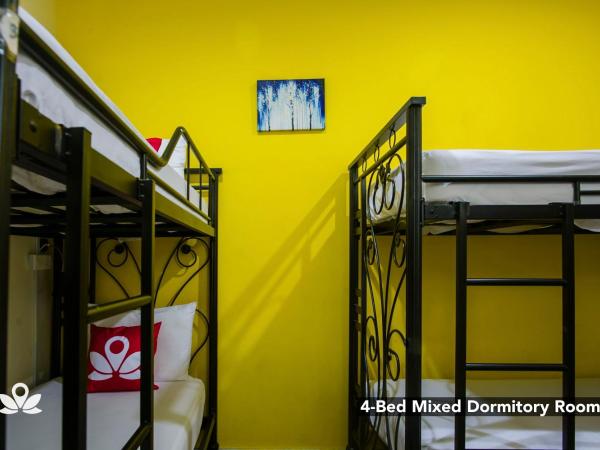 The Explorers Guesthouse and Hostel : photo 2 de la chambre lit dans dortoir mixte de 4 lits