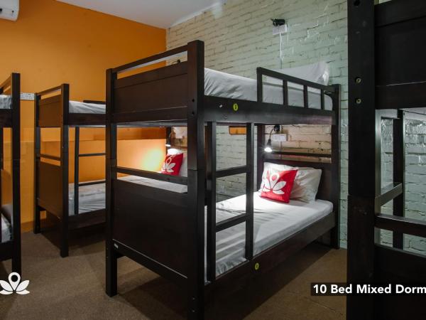 The Explorers Guesthouse and Hostel : photo 2 de la chambre lit simple dans dortoir de 10 lits