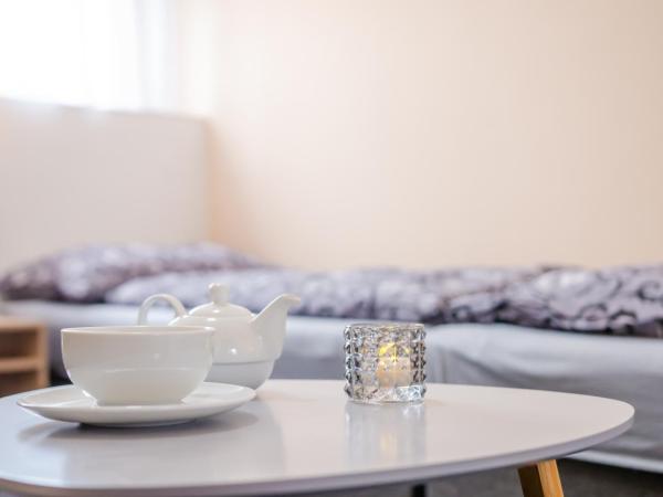 Penzion Hády : photo 2 de la chambre chambre lits jumeaux avec douche