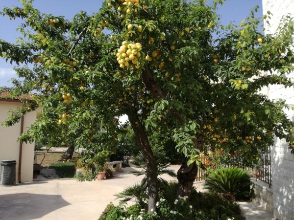 COUNTRYHOUSE : photo 9 de la chambre studio duplex