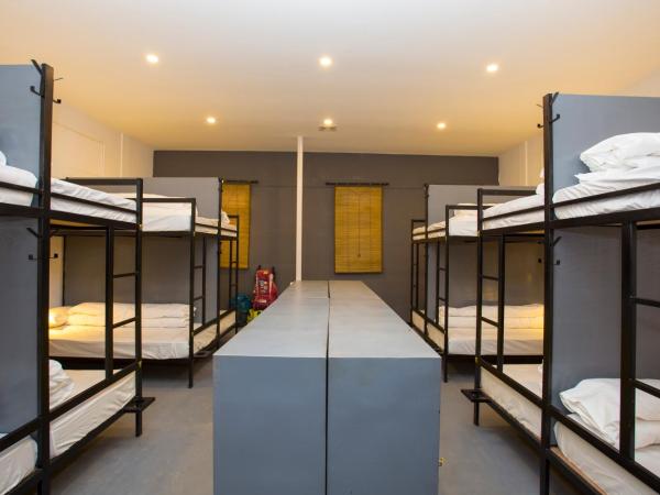 Yakety Yak Hostel : photo 7 de la chambre lit dans dortoir mixte de 16 lits