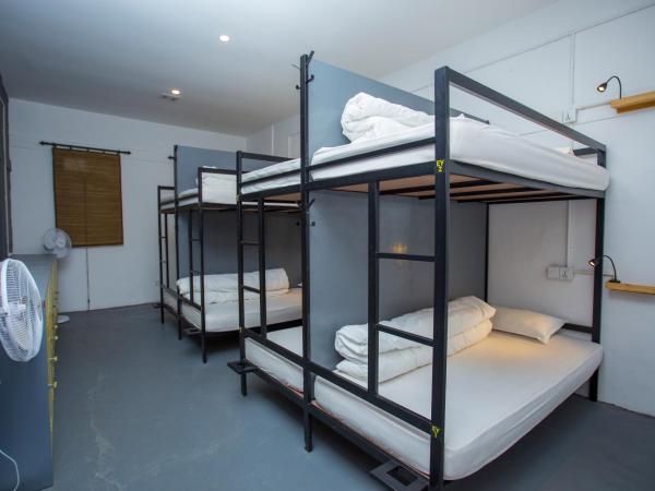 Yakety Yak Hostel : photo 3 de la chambre lit dans dortoir mixte de 8 lits 