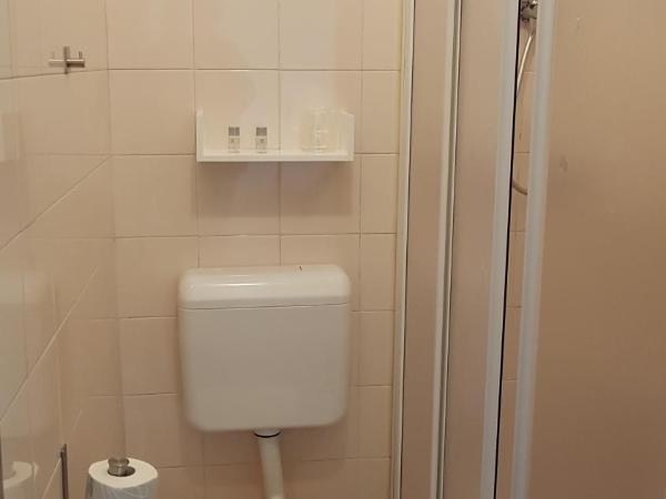 Albergo Ristorante San Giors : photo 2 de la chambre chambre simple avec balcon