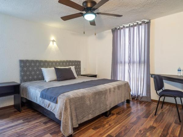 Hotel delf-inn : photo 3 de la chambre chambre triple Économique