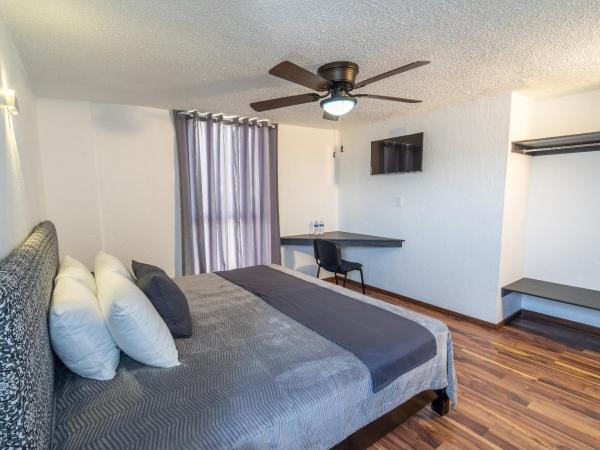 Hotel delf-inn : photo 2 de la chambre chambre triple Économique