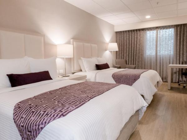 Antaris Galerias : photo 1 de la chambre chambre deluxe avec 2 lits doubles