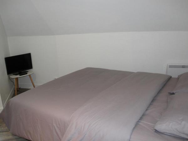 STUDIO COCON ULTRA CENTRE LE MANS : photo 3 de la chambre suite familiale