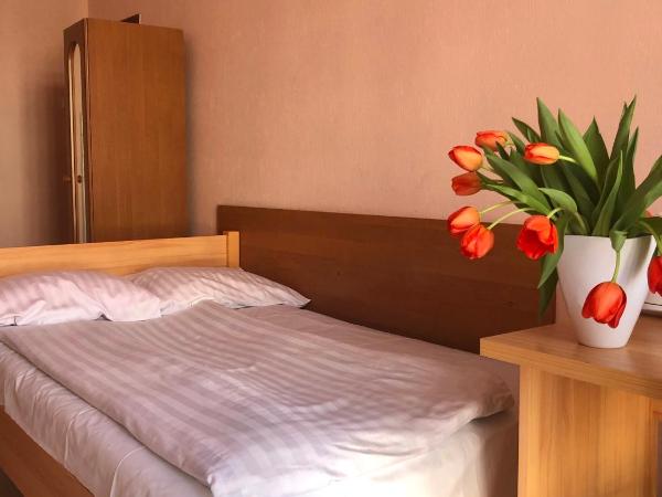 Hotel Haga : photo 4 de la chambre chambre simple