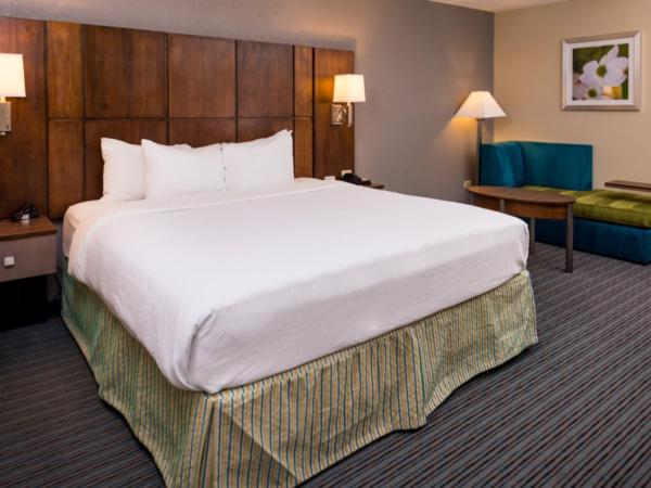 Holiday Inn Hotel & Suites Oklahoma City North, an IHG Hotel : photo 3 de la chambre chambre lit king-size pour personnes à mobilité réduite – douche accessible en fauteuil roulant - non-fumeurs