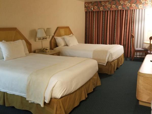 The Beach Cottages : photo 7 de la chambre chambre quadruple avec balcon