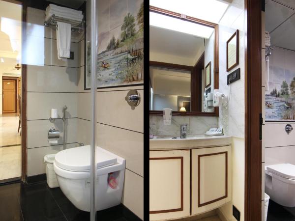 Regenta Place The Emerald : photo 2 de la chambre appartement 1 chambre