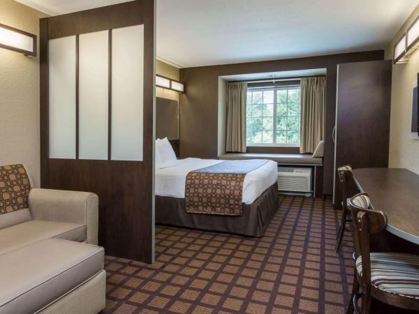 Microtel Inn & Suites by Wyndham Jacksonville Airport : photo 1 de la chambre suite studio queen - non-fumeurs