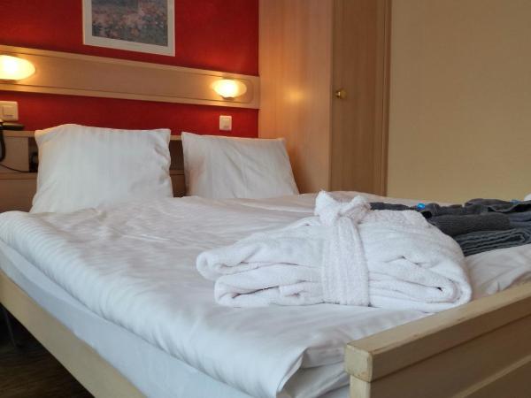 Hotel Europa : photo 1 de la chambre chambre lits jumeaux standard - vue sur montagne