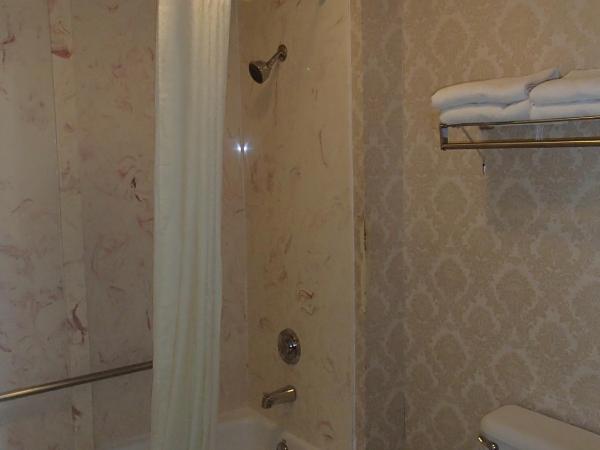 Super 8 by Wyndham Dallas South : photo 4 de la chambre chambre 2 lits queen-size - non-fumeurs