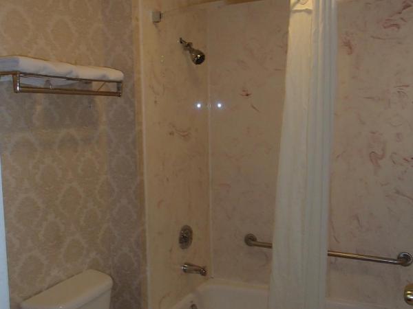 Super 8 by Wyndham Dallas South : photo 7 de la chambre chambre 2 lits queen-size - non-fumeurs