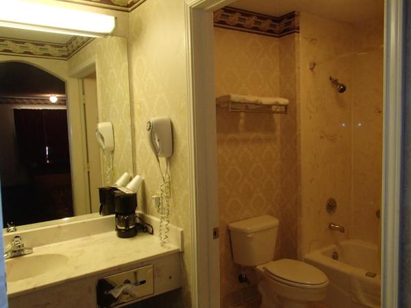 Super 8 by Wyndham Dallas South : photo 5 de la chambre chambre lit king-size - non-fumeurs