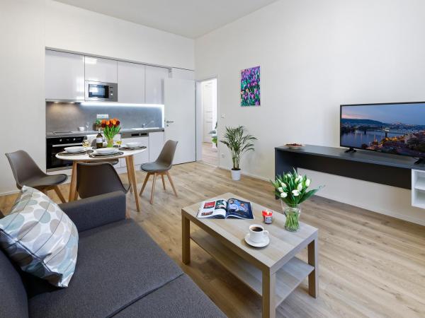 DownTown Suites Jugoslavska : photo 2 de la chambre appartement 1 chambre