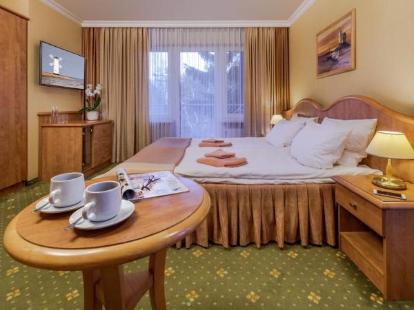 Hotel Polaris III : photo 5 de la chambre chambre double ou lits jumeaux avec balcon