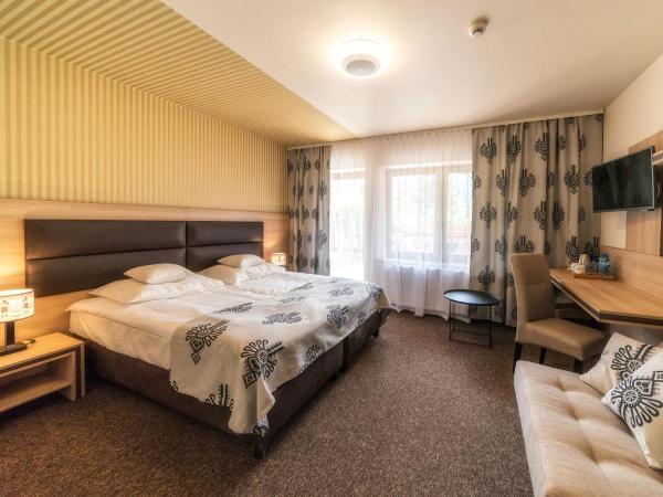 Hotel Zakopane Wellness & SPA ex Korona Tatr : photo 2 de la chambre premium double room with terrace and mountain view