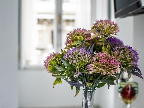 Domus Sibyllina, Galleria Umberto I : photo 5 de la chambre chambre double ou lits jumeaux avec vue