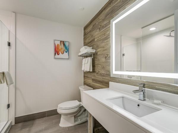 EST Hotel : photo 5 de la chambre studio lit king-size avec canapé-lit