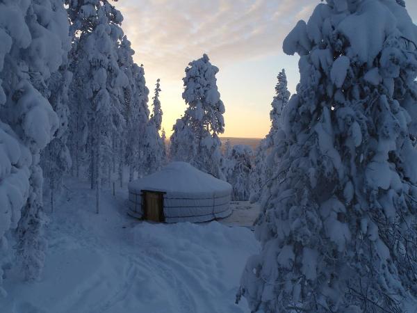 Yurt District : photo 5 de la chambre yourte sur colline - vue sur forêt
