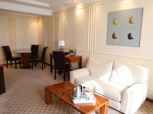 Hotel Olid : photo 4 de la chambre suite deluxe