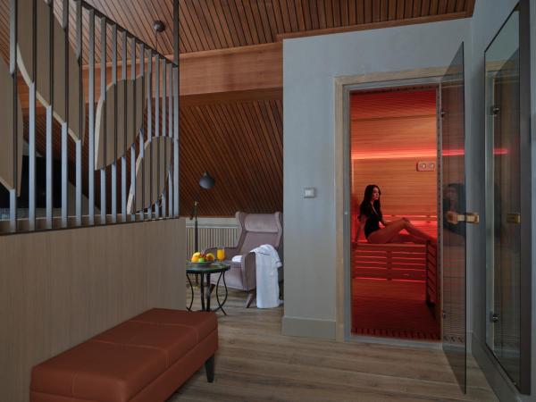 Perge Hotels - Adult Only 18 plus : photo 5 de la chambre suite penthouse grace