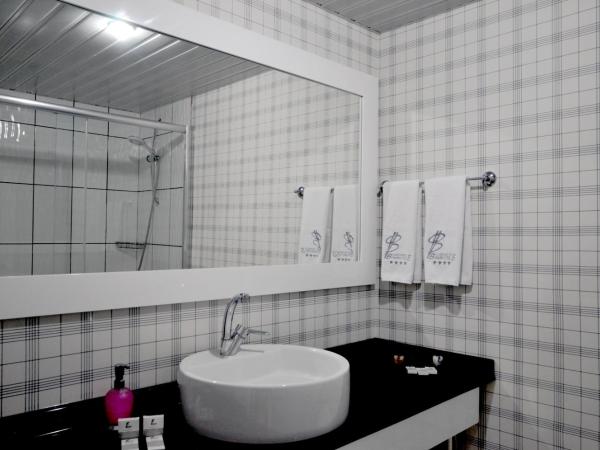 Business Park Hotel : photo 6 de la chambre chambre double ou lits jumeaux standard