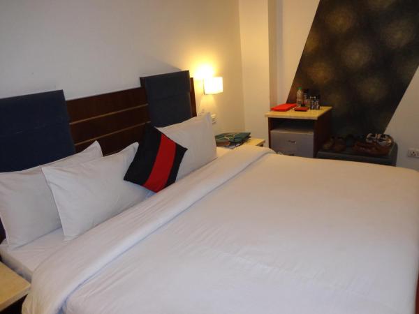 Hotel Aura - New Delhi Railway Station : photo 2 de la chambre executive room with bathtub