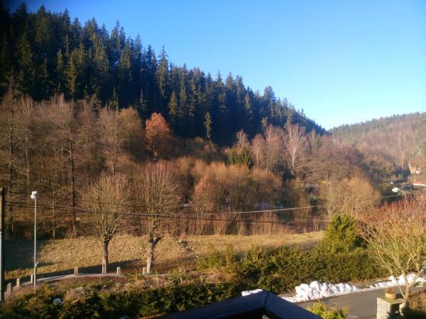 Penzion Havaj : photo 5 de la chambre chambre lits jumeaux avec lit d'appoint et balcon