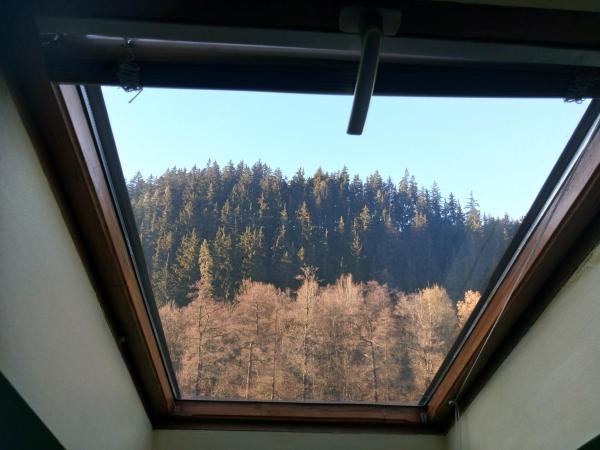 Penzion Havaj : photo 3 de la chambre chambre triple avec salle de bains commune