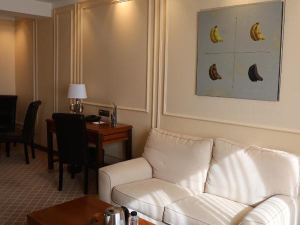 Hotel Olid : photo 8 de la chambre suite deluxe