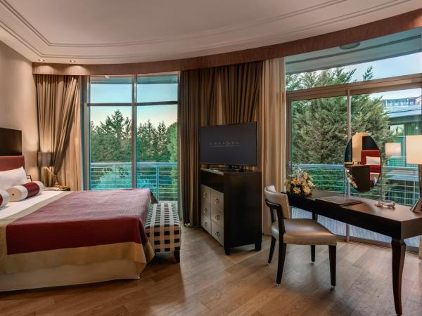 Calista Luxury Resort : photo 3 de la chambre villa supérieure avec transfert aéroport aller-retour