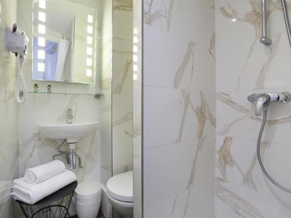 Hotel Suisse : photo 3 de la chambre chambre simple avec douche