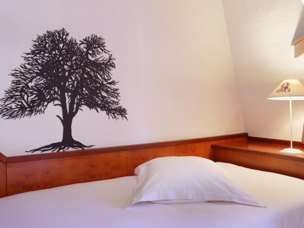 Hotel Suisse : photo 5 de la chambre chambre triple - vue sur cathédrale