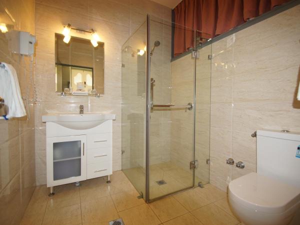 Twin Towers Inn : photo 4 de la chambre chambre lits jumeaux Économique