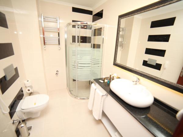 Asrin Business Hotel Kızılay : photo 5 de la chambre chambre lits jumeaux