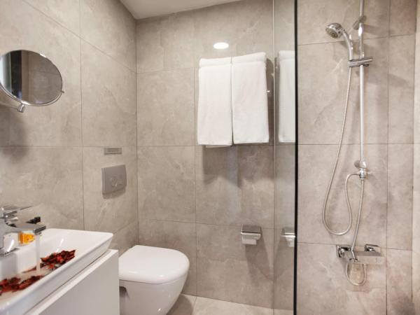 Duo Galata Hotel : photo 4 de la chambre chambre Économique