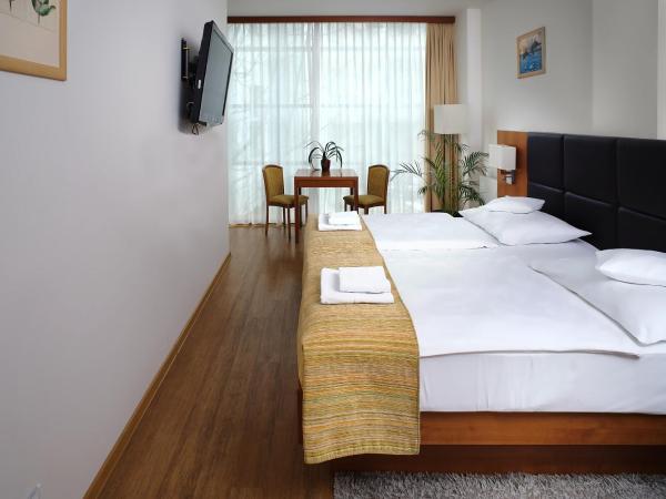 Hotel Ankora : photo 1 de la chambre studio deluxe