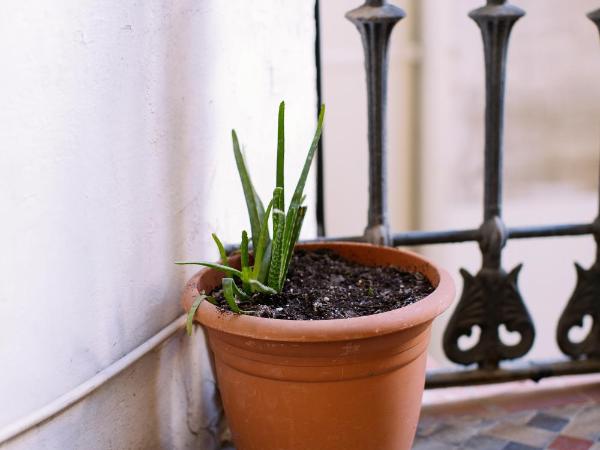 Hostal Eixample : photo 3 de la chambre chambre double ou lits jumeaux avec balcon intérieur et salle de bains privative