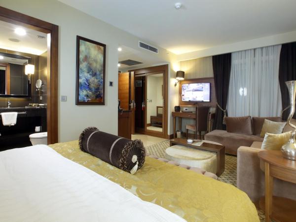 Latanya Hotel Ankara : photo 4 de la chambre chambre double supérieure deluxe