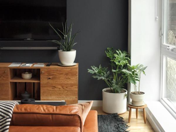 Lokal Hotel Fishtown : photo 4 de la chambre studio accessible aux personnes à mobilité réduite - vue sur jardin