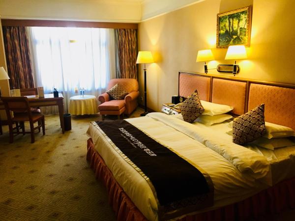 Qingdao Oceanwide Elite Hotel : photo 2 de la chambre chambre double affaires - vue sur mer
