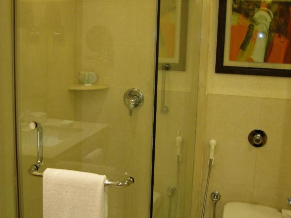 The Sonnet Kolkata : photo 4 de la chambre chambre double supérieure